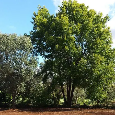 Trullo Primavera *