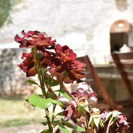 Trullo Primavera Сasa de vacaciones Cisternino